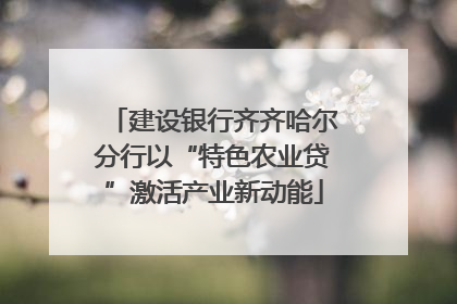 建设银行齐齐哈尔分行以“特色农业贷”激活产业新动能