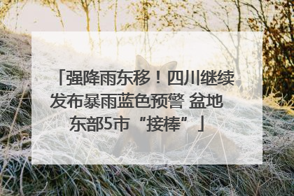 强降雨东移！四川继续发布暴雨蓝色预警 盆地东部5市“接棒”