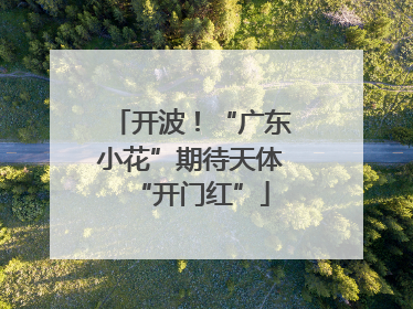开波！“广东小花”期待天体“开门红”