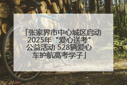张家界市中心城区启动2025年“爱心送考”公益活动 528辆爱心车护航高考学子