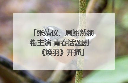 张婧仪、周翊然领衔主演 青春话题剧《焕羽》开播