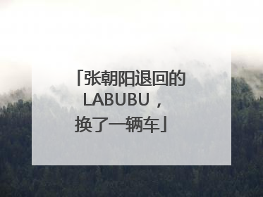 张朝阳退回的LABUBU，换了一辆车
