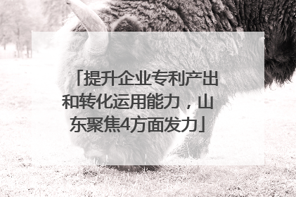 提升企业专利产出和转化运用能力，山东聚焦4方面发力
