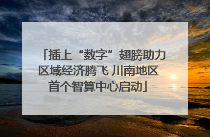 插上“数字”翅膀助力区域经济腾飞 川南地区首个智算中心启动