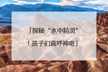 探秘“水中精灵”！孩子们直呼神奇
