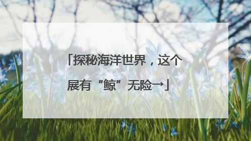 探秘海洋世界，这个展有“鲸”无险→