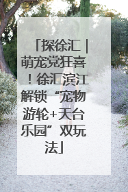 探徐汇｜萌宠党狂喜！徐汇滨江解锁“宠物游轮+天台乐园”双玩法