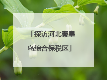 探访河北秦皇岛综合保税区
