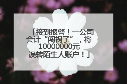 接到报警！一公司会计“闯祸了”，将10000000元误转陌生人账户！