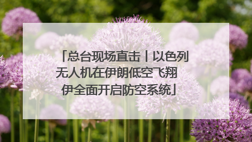 总台现场直击丨以色列无人机在伊朗低空飞翔 伊全面开启防空系统