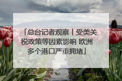 总台记者观察丨受美关税政策等因素影响 欧洲多个港口严重拥堵
