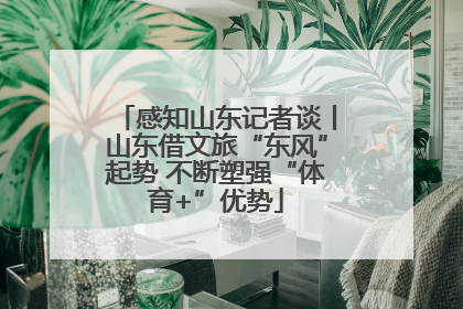 感知山东记者谈丨山东借文旅“东风”起势 不断塑强“体育+”优势