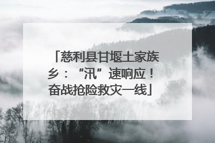 慈利县甘堰土家族乡：“汛”速响应！奋战抢险救灾一线