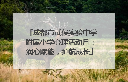 成都市武侯实验中学附属小学心理活动月：润心赋能，护航成长