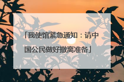 我使馆紧急通知：请中国公民做好撤离准备