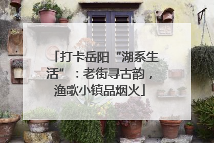 打卡岳阳“湖系生活”：老街寻古韵，渔歌小镇品烟火