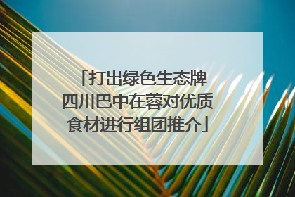 打出绿色生态牌 四川巴中在蓉对优质食材进行组团推介