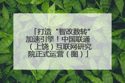 打造“智改数转”加速引擎！中国联通（上饶）互联网研究院正式运营（图）