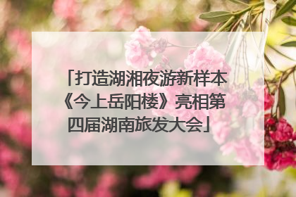 打造湖湘夜游新样本《今上岳阳楼》亮相第四届湖南旅发大会