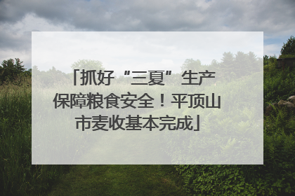 抓好“三夏”生产 保障粮食安全！平顶山市麦收基本完成