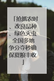 抢抓农时、改良品种、绿色灭虫 全国多地争分夺秒确保夏粮丰收