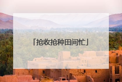 抢收抢种田间忙