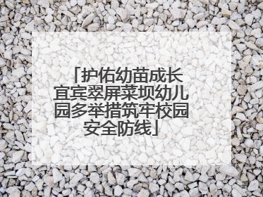护佑幼苗成长 宜宾翠屏菜坝幼儿园多举措筑牢校园安全防线