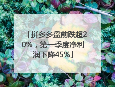 拼多多盘前跌超20%，第一季度净利润下降45%