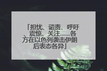 担忧、谴责、呼吁、震惊、关注……各方在以色列袭击伊朗后表态各异