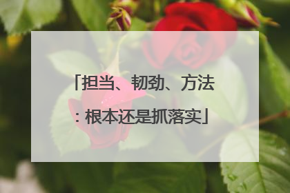 担当、韧劲、方法：根本还是抓落实