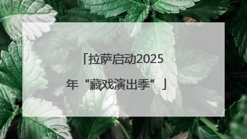 拉萨启动2025年“藏戏演出季”