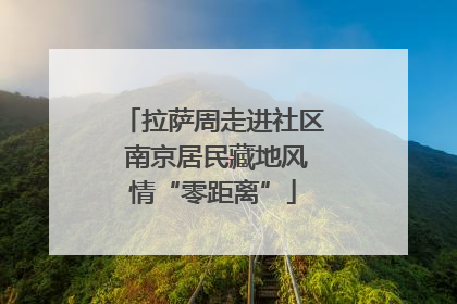 拉萨周走进社区 南京居民藏地风情“零距离”