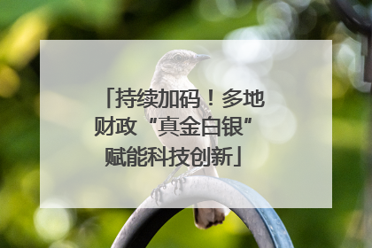 持续加码！多地财政“真金白银”赋能科技创新