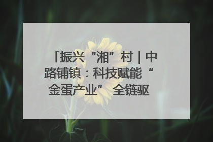 振兴“湘”村｜中路铺镇：科技赋能“金蛋产业” 全链驱动乡村振兴