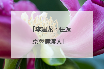 李建龙：往返京冀摆渡人