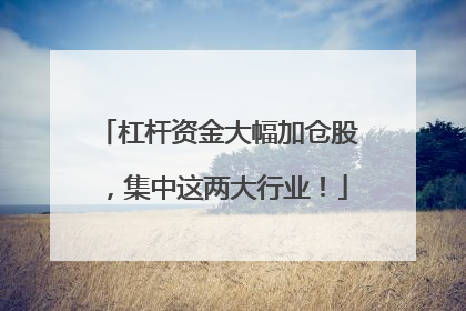 杠杆资金大幅加仓股，集中这两大行业！