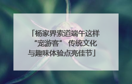 杨家界索道端午这样“宠游客” 传统文化与趣味体验点亮佳节