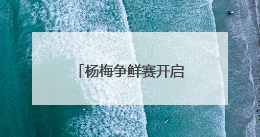 杨梅争鲜赛开启舌尖上的狂欢 看看谁最能代表浙江的“甜”？