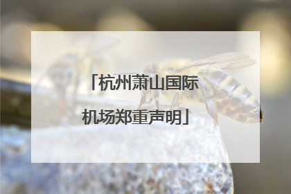 杭州萧山国际机场郑重声明