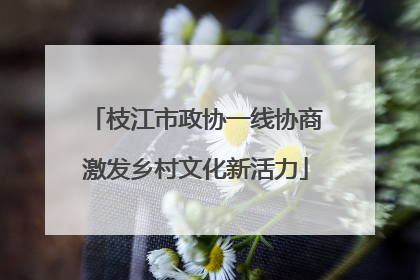枝江市政协一线协商激发乡村文化新活力