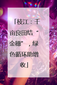 枝江：千亩良田结“金穗”，绿色循环助增收