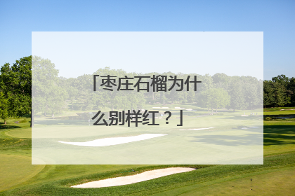 枣庄石榴为什么别样红？