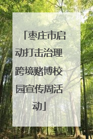 枣庄市启动打击治理跨境赌博校园宣传周活动