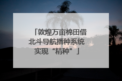 敦煌万亩棉田借北斗导航播种系统实现“精种”