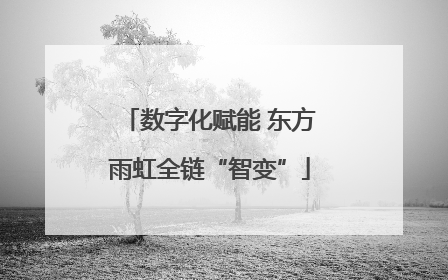 数字化赋能 东方雨虹全链“智变”