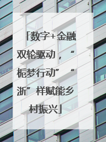 数字+金融双轮驱动，“栀梦行动”“浙”样赋能乡村振兴