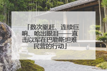 数次驱赶、连续巨响、呛出眼泪——直击以军在巴勒斯坦难民营的行动