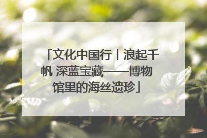 文化中国行丨浪起千帆 深蓝宝藏——博物馆里的海丝遗珍