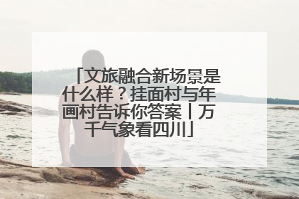 文旅融合新场景是什么样？挂面村与年画村告诉你答案丨万千气象看四川