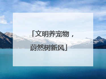 文明养宠物，蔚然树新风